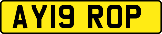 AY19ROP