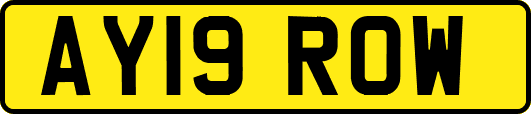 AY19ROW