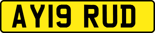 AY19RUD