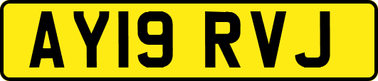 AY19RVJ