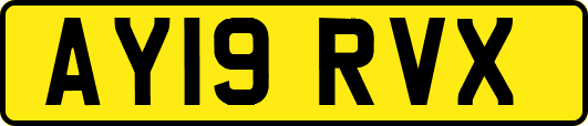 AY19RVX