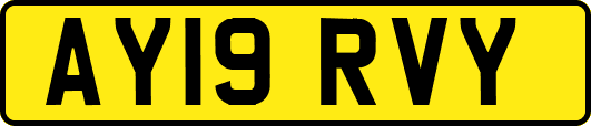AY19RVY