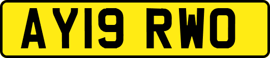 AY19RWO