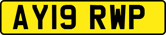 AY19RWP