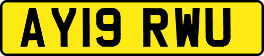 AY19RWU