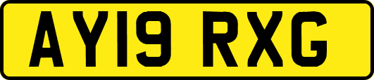 AY19RXG