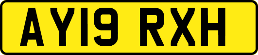 AY19RXH