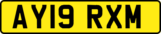 AY19RXM