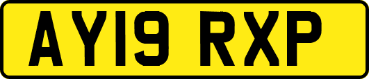 AY19RXP