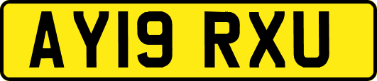 AY19RXU