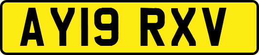 AY19RXV