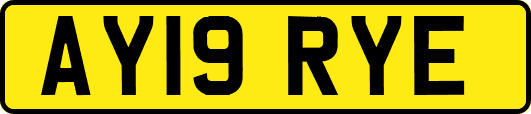 AY19RYE
