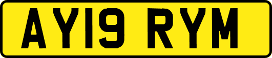 AY19RYM