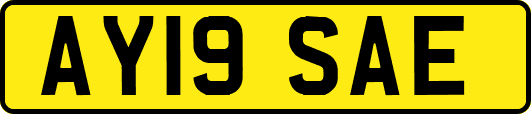 AY19SAE