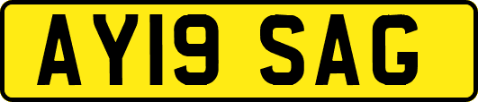 AY19SAG