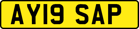 AY19SAP