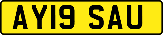 AY19SAU