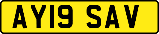 AY19SAV