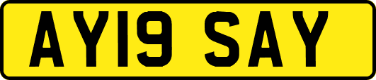 AY19SAY