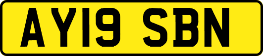 AY19SBN