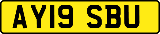 AY19SBU