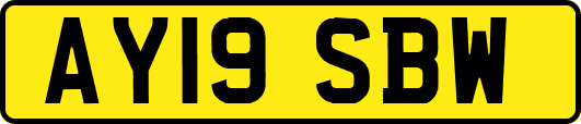 AY19SBW