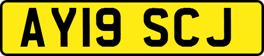 AY19SCJ