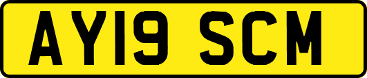 AY19SCM
