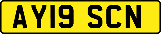 AY19SCN