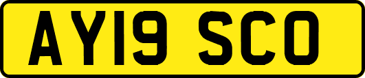 AY19SCO