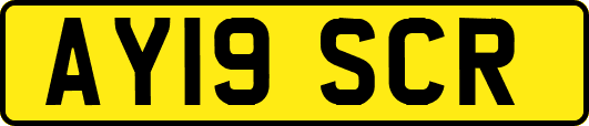 AY19SCR
