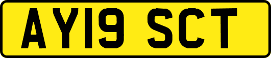 AY19SCT