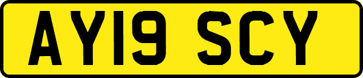 AY19SCY