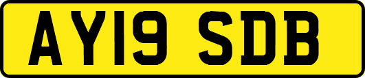 AY19SDB
