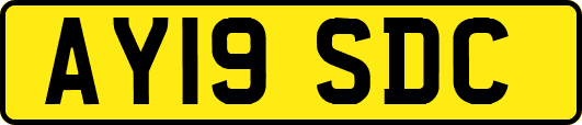AY19SDC