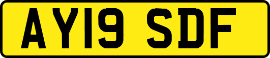 AY19SDF
