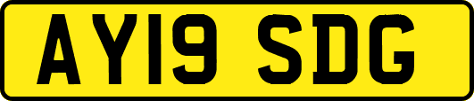 AY19SDG
