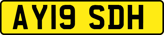 AY19SDH
