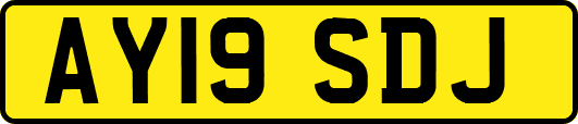 AY19SDJ