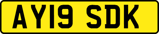 AY19SDK