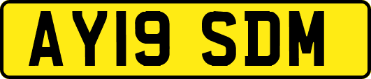 AY19SDM