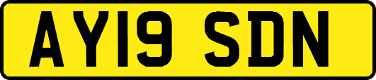 AY19SDN