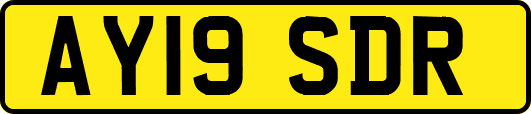 AY19SDR