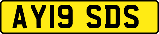 AY19SDS