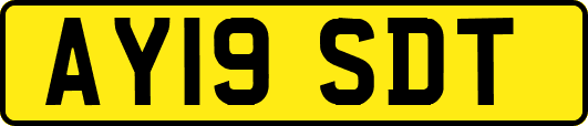 AY19SDT