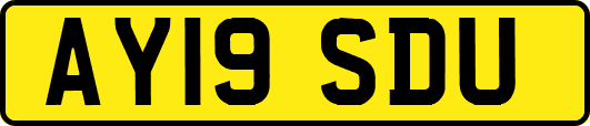 AY19SDU