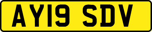 AY19SDV