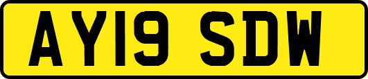 AY19SDW