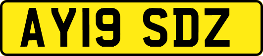 AY19SDZ