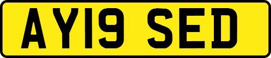 AY19SED